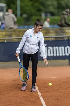 Bild 142 - BL DTV Hannover - BW Dresden Blasewitz : Ergebnis: 2:7